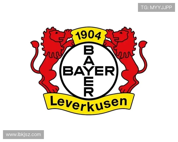 德甲足球队徽设计演变及其背后的文化故事